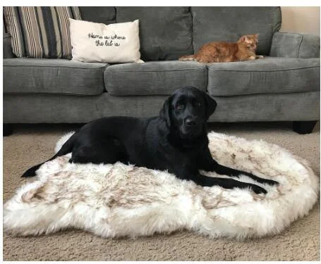 Fluffy Long Plush Warm Pet Blanket